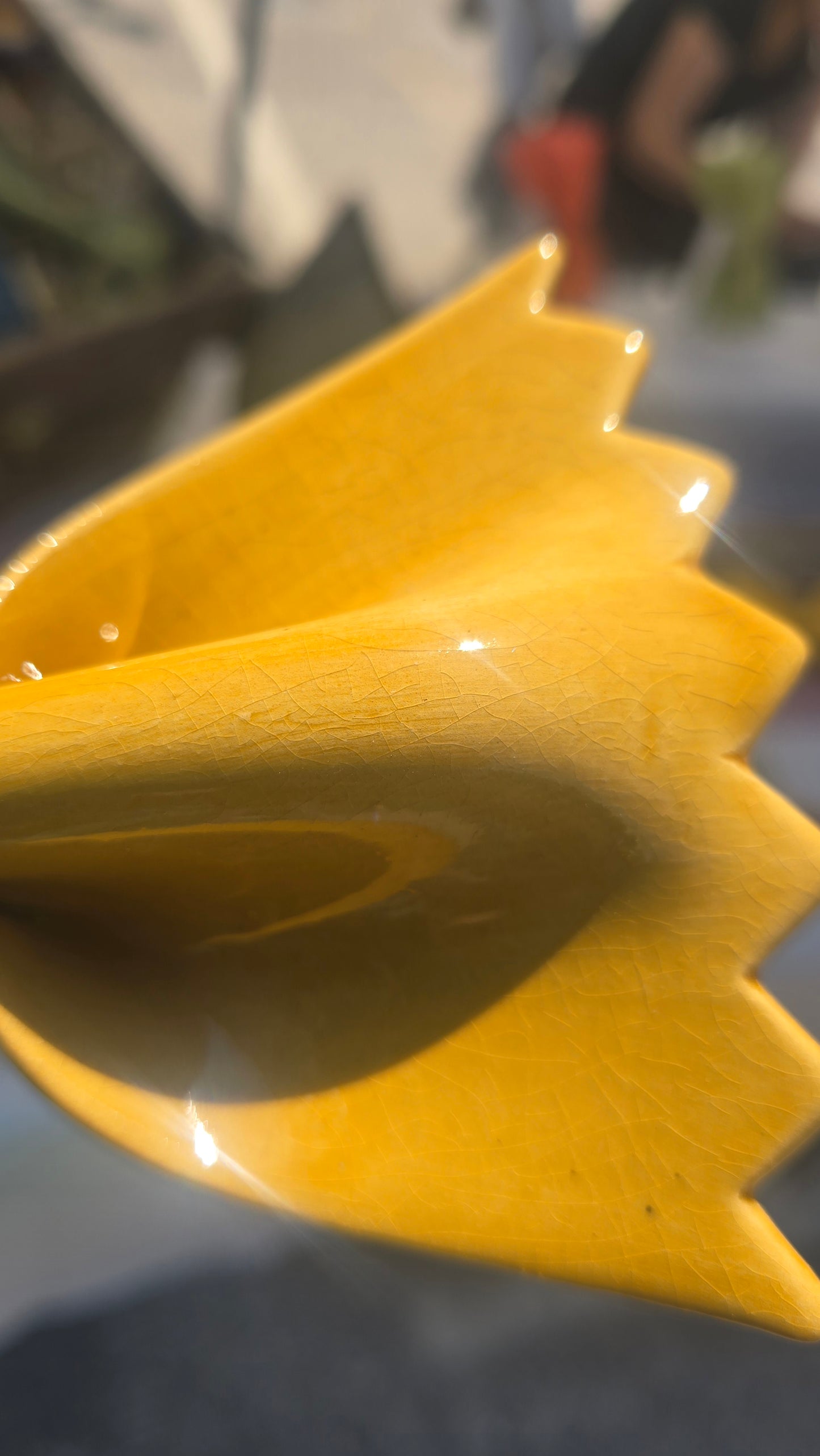 farfalle miel craquelé